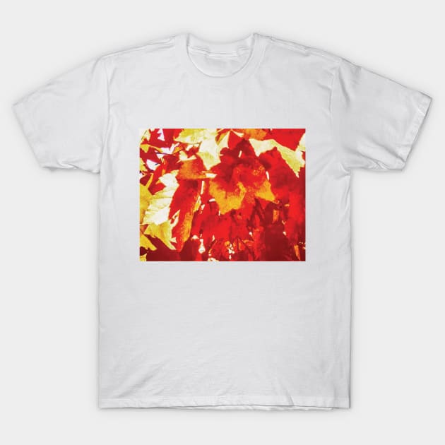 Red Maple Leaves T-Shirt by PSCSCo